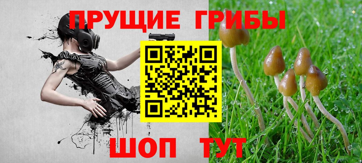 Рязань  Галлюциногенные грибы Psilocybine cubensis  Вход с VPN 